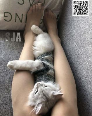 久久综合九色综合97网_1080高清视频观看