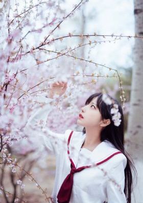 极品少妇伦理一区二区_高清在线播放观看