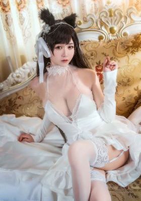 2017欧美夜夜干_免费国语在线观看